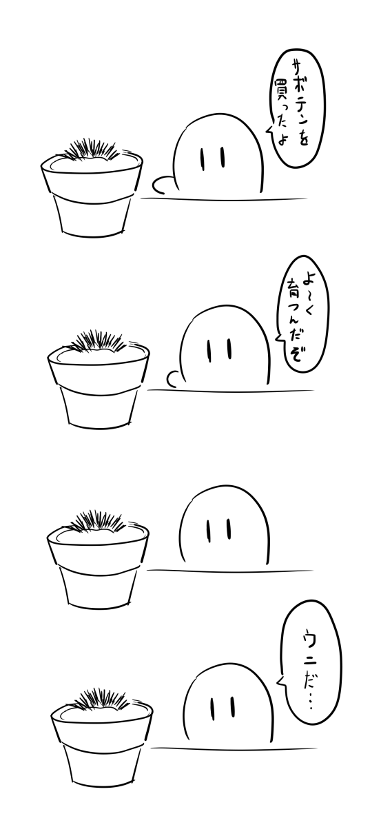 サボテン 