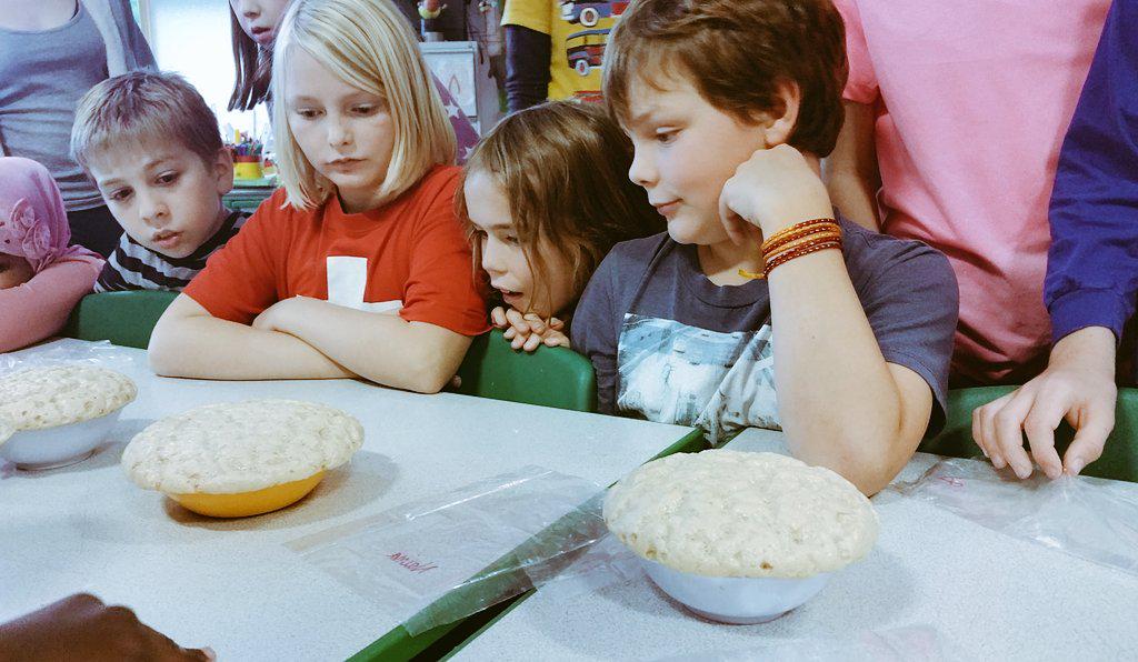 PW_Tower's tweet photo. Watching yeast react with sugar and discovering new things (and that beer smell!) #messyscience #scienceinaction http://t.co/a2TgsDR8Rm