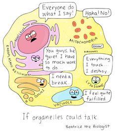 mito_merle's tweet photo. I'm my own person. #OrganelleWars http://t.co/rsADRuNoSp