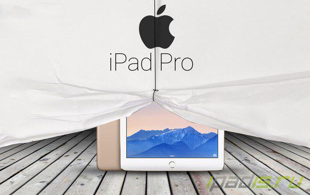 iPadis tweet picture