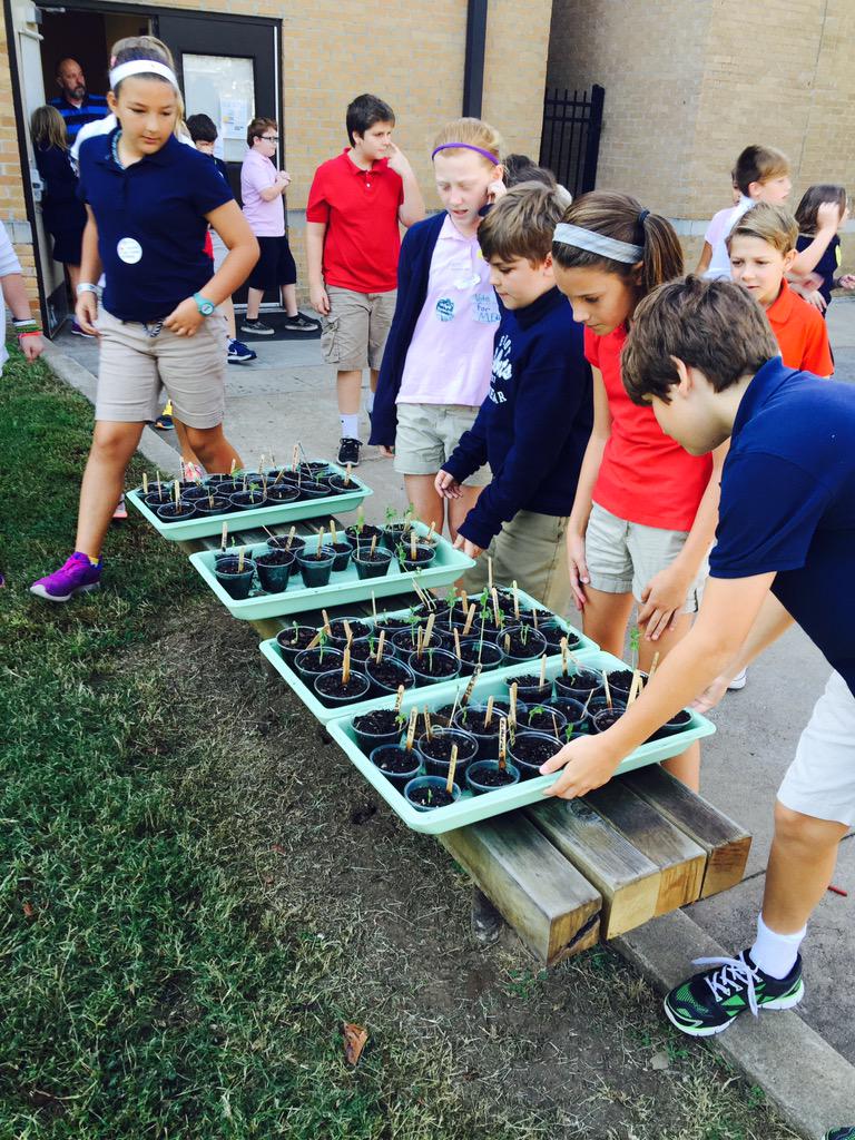 deborahgist's tweet photo. "We have been raising sprouts and now we are going to plant them today." -Eliot ES T #SuccessTPS http://t.co/WneBuTD1HA