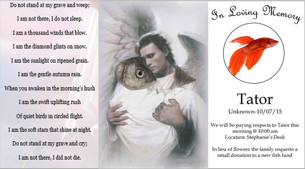 TOTDataTheBETTA's tweet image. Today my best #friend #Tater died... Join me in #PouringOneOut for my #homie. #RIP Tater: ??? - 10.7.2015. #TechData