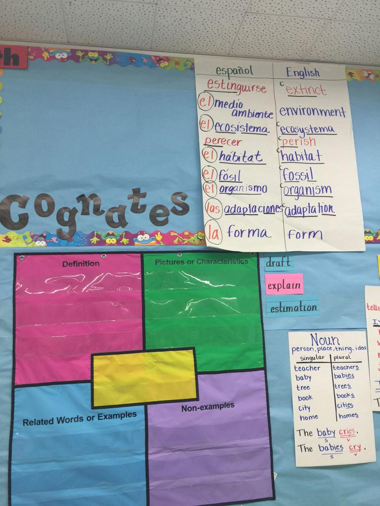 wegolearning4's tweet image. Ms. Theissing&apos;s cognates wall. #goodinstruction