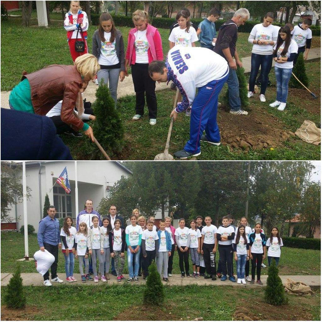 Team Serbia tweet media