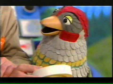 bromley cbbc rave on twitter quot fun fact the quot why bird bromley cbbc rave on twitter quot fun fact the quot why bird