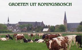 zondag 11 oktober #wandelen in Koningsbosch: tonnotermans.nl/blog/grensland…