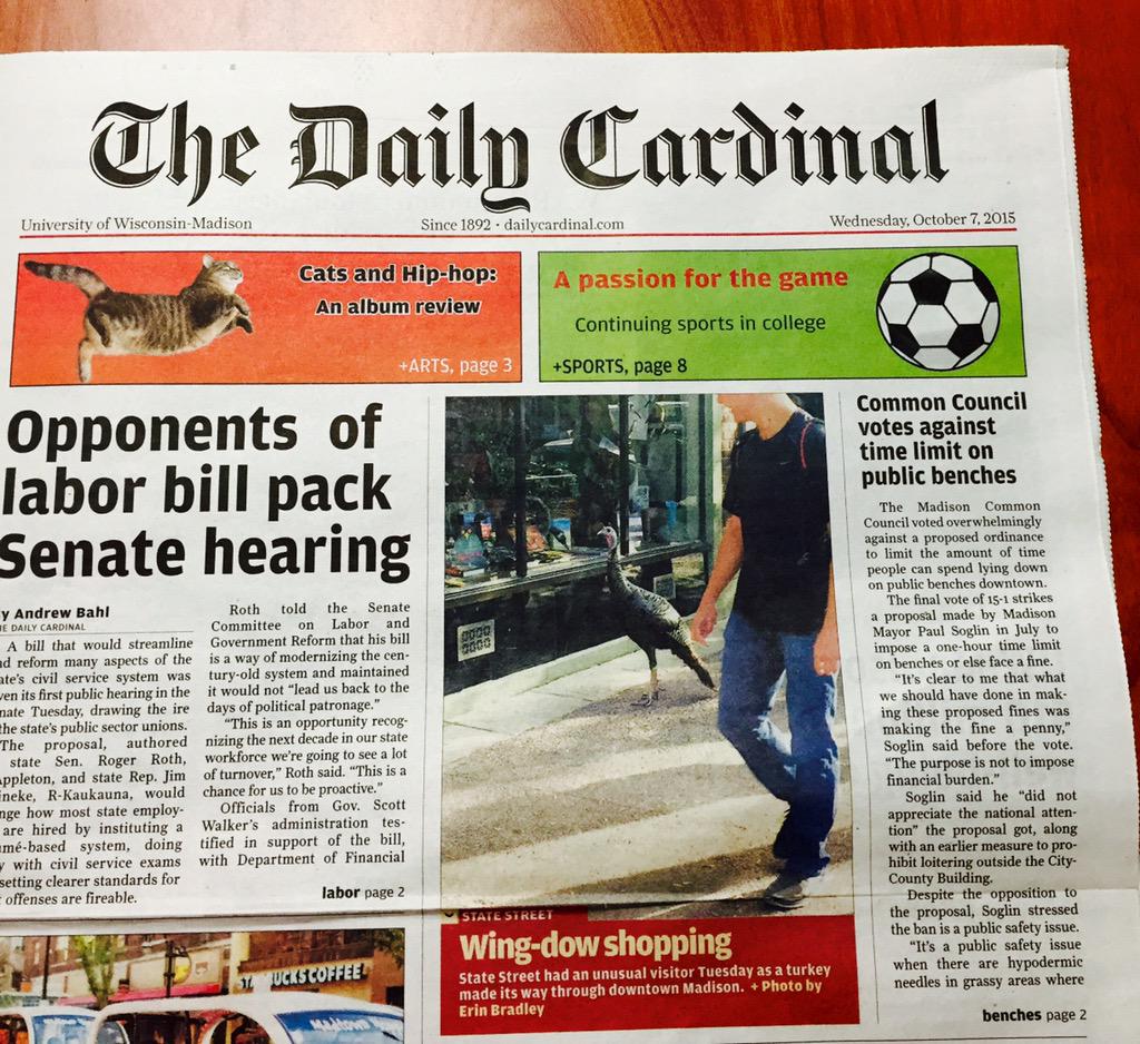 dailycardinal's tweet photo. Thanks for the great photo @ebjr95! Check out your stellar photography skills in today's paper #uwturkeytracker http://t.co/3jWZCDVDvz