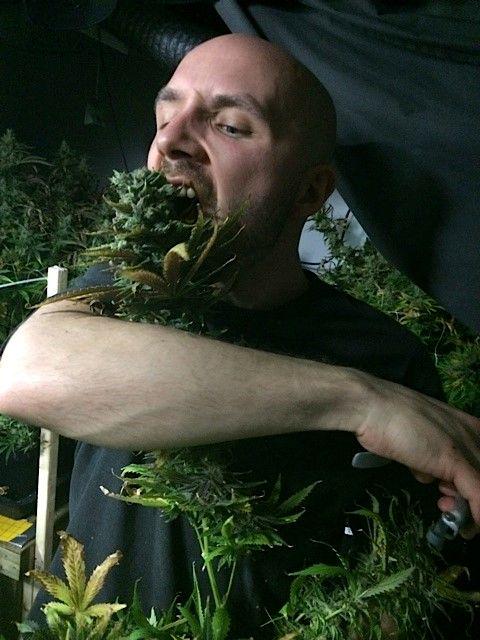 justinloizos's tweet photo. When #monsters #attack!!!
#JustinLoizos #MJvsMS #LearnHealTeachGrow #MS #muckMS #wewillendms #cannabisincanada http://t.co/RZrOusyOcx