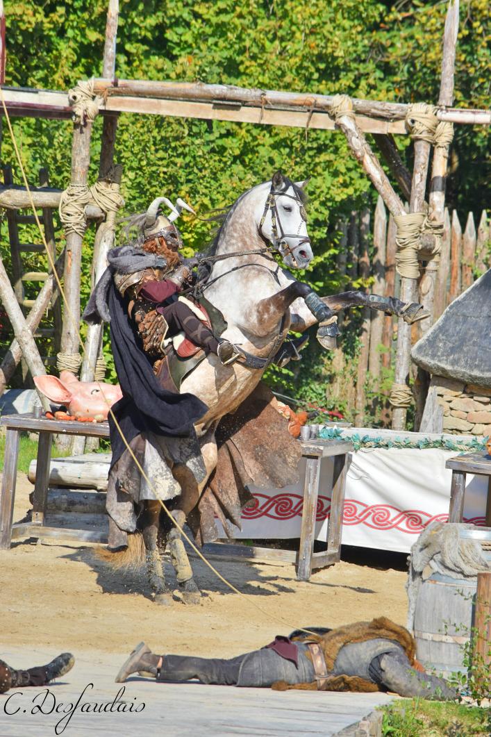 chadesfaudais's tweet photo. Les vicking #puydufou #cabrer #cheval #vicking #bataille http://t.co/MUWgO3GVGb