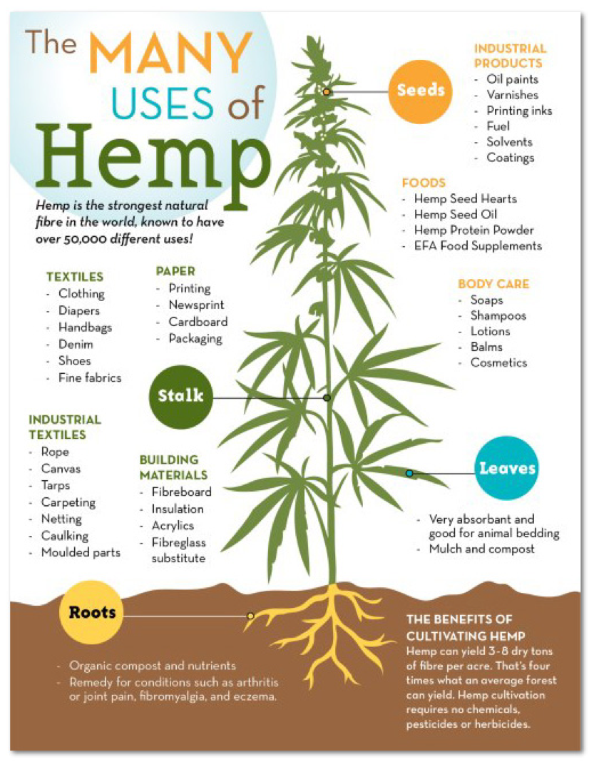 herbalxtracts's tweet photo. How can we use #hemp? Let us count the ways
#HerbalExtracts #Hemp #Plastic #Environment #Nature #Ecology... http://t.co/MU7PkduBaj