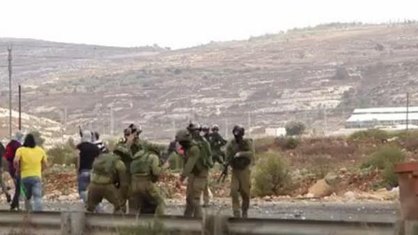 TSAlgerie's tweet photo. Plusieurs #Palestiniens blessés par des tireurs infiltrés. VIDÉO >> http://t.co/W8qlldhFjW via @TSAlgerie http://t.co/8rgCzs69ow