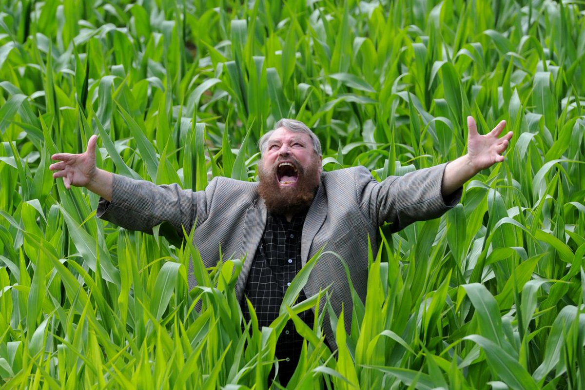 Brian Blessed: I chewed through umbilical cord to deliver baby in Richmond Park bit.ly/1MdBCUP