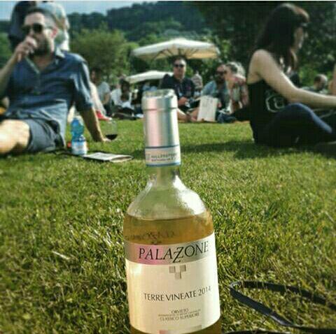 winePalazzone's tweet photo. Alla prossima estate! http://t.co/tvmDAoMxtT