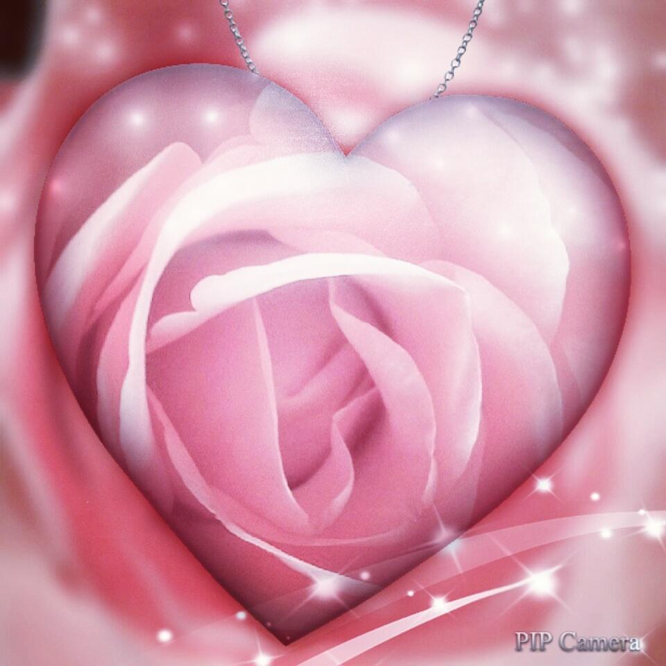 Marionreiber's tweet photo. #breastcancerawareness #month #october 2015 #pink #reflectinghope #PinkRibbon 🌹 http://t.co/46w8aDnfwd