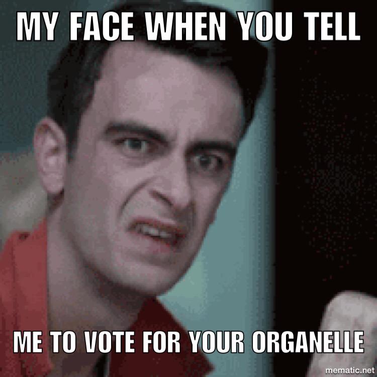 MrsChloraplast's tweet photo. #OrganelleWars http://t.co/aveIHQt8Xf