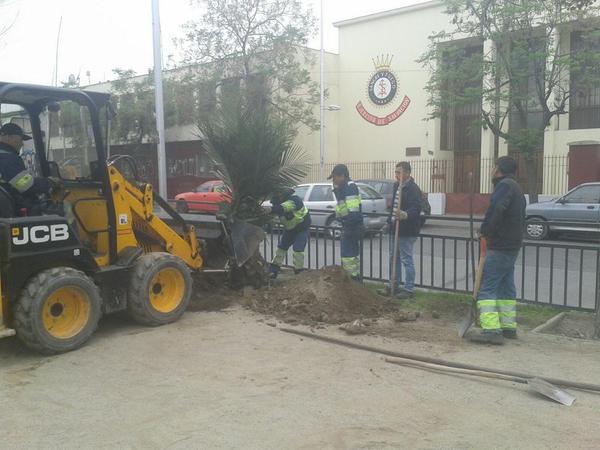 EcobarrioYungay's tweet photo. Una vez más Fernando Vallejos de @Muni_Stgo interviene sin autorización del @ConsejoMonument #LosÁrbolesSonPatrimonio http://t.co/B44IO1znVB
