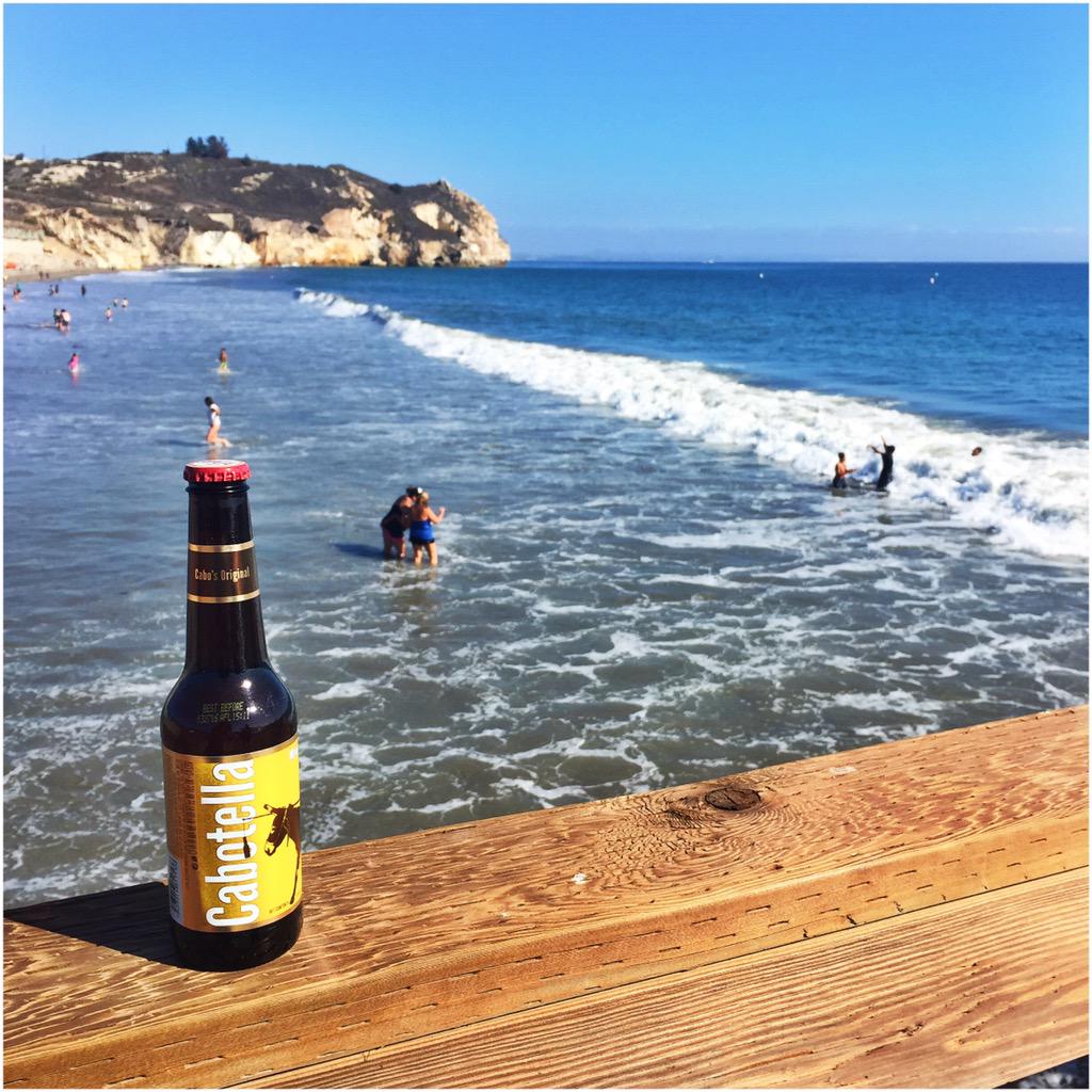 Cabotella tweet media