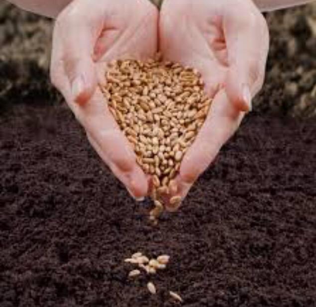 Cuando el beneficio es equitativo estamos hablando de sustentabilidad... #ViveSustentable