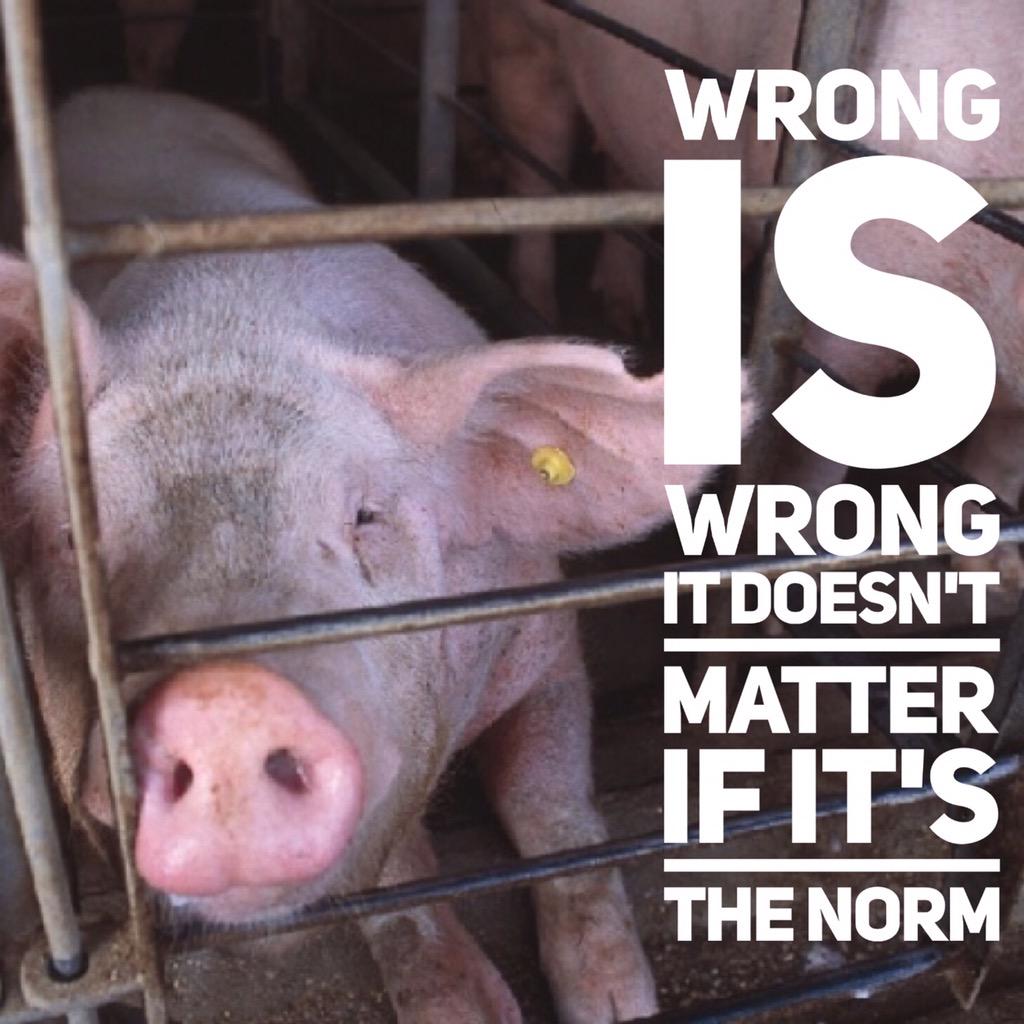 #StartTheConvo with your friends and family about #factoryfarming. Never remain silent about the things that matter.