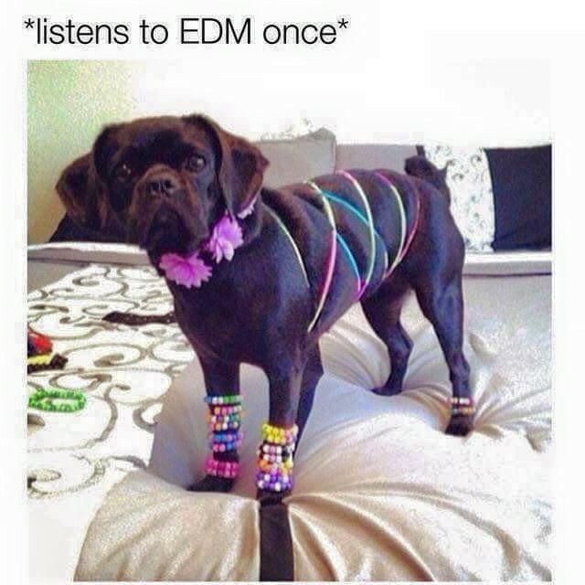 TexasEDMFamily's tweet image. 😂
