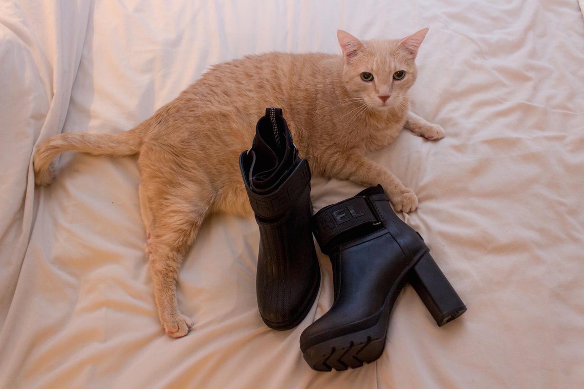 Merci <a href="/sorelfootwear/">SOREL</a> pour les bottines. La Mikatte a validé. #Sorel #Sorelfootwear #Les_Influenceurs