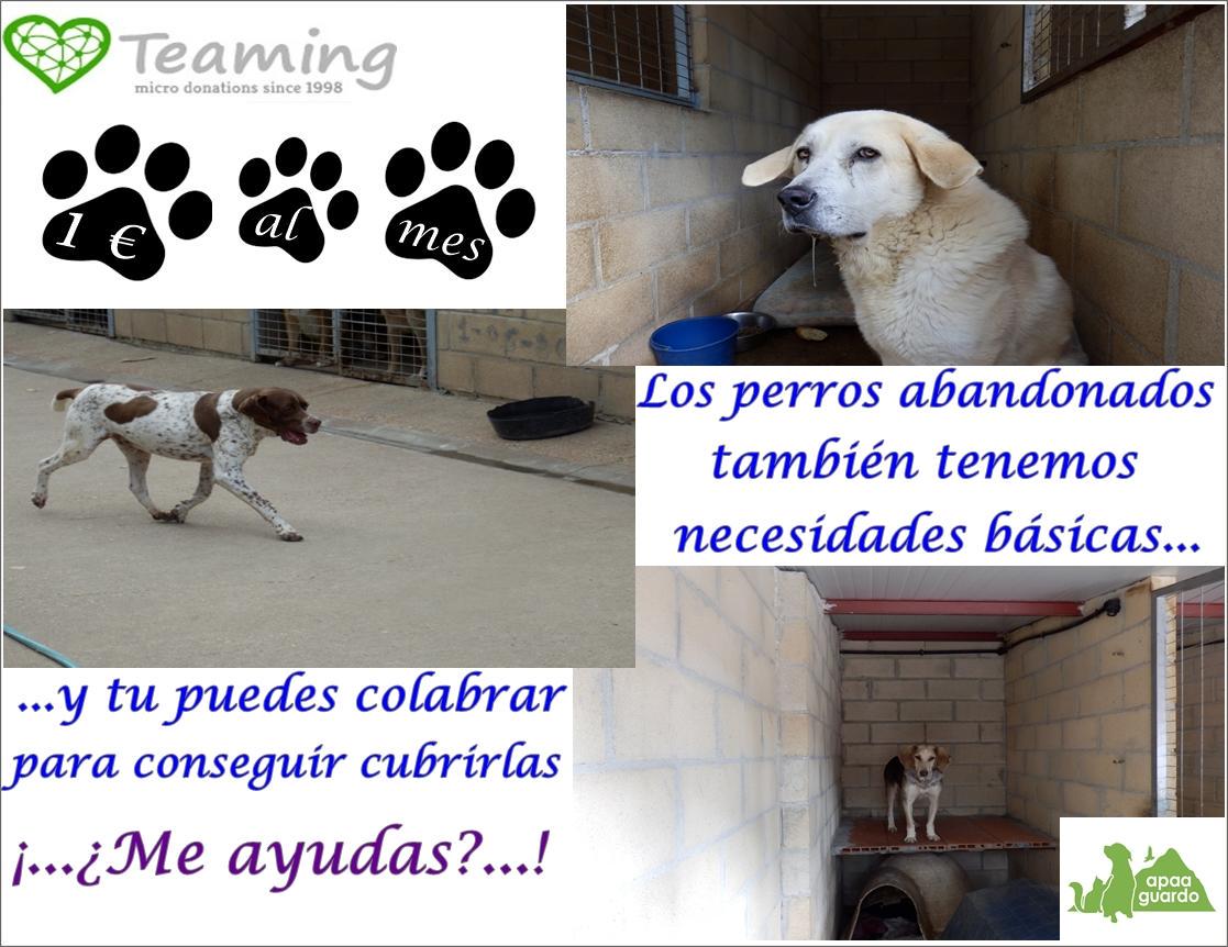 Os recordamos que tenemos teaming y nos podéis ayudar con 1€ al mes.