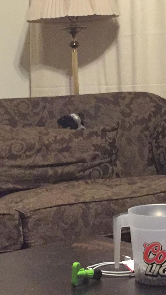 FratHoundPatt's tweet photo. Ya I'm the best hide n seek player alive. #comefindmebitch http://t.co/PZsiE6GXOZ