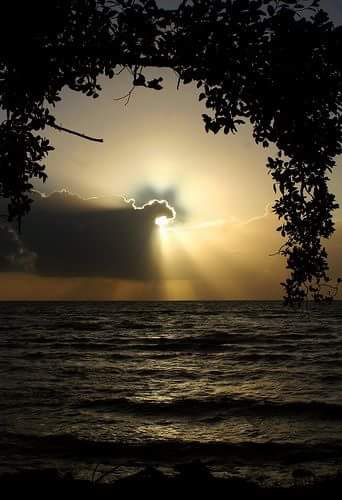 ☺😊😄🙋❤🐶🐶❤❤ Mutlu Geceler ❤🐶 <a href="/Natusik16/">Natusik</a> <a href="/olmazkubra/">Benim Dünyam...</a> <a href="/JenaC2/">Jena C.</a>