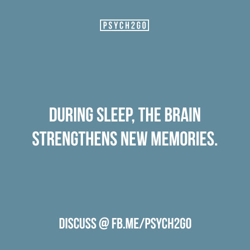 blife's tweet photo. #Sleep helps the brain strengthen new #memories. Via @Psych2go http://t.co/D0wEwDZm1E