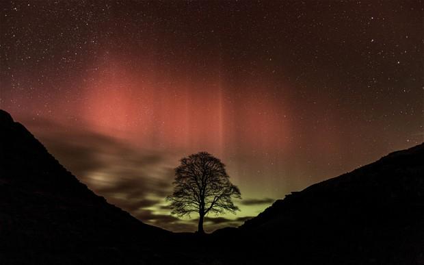 #UKNorthernLights Northern Lights to be visible in much of UK daresay.co/story/UKNorthe… #Weather #UK