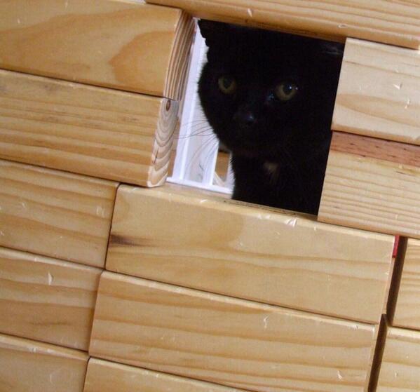 MYSADCAT tweet picture