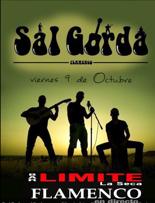 Tamarac1997's tweet photo. Ganas de viernes, ganas de flamenco #SalGorda http://t.co/GNS60Cga4L
