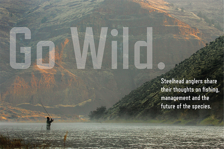 WildSteelheader tweet picture
