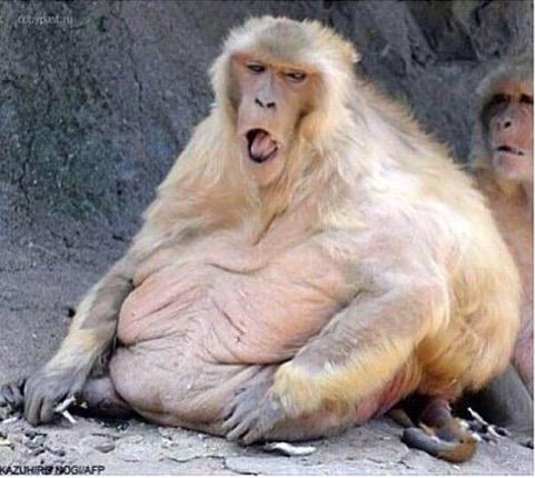 HowellAnna's tweet photo. Current mood about this test. http://t.co/wMrnJJMS5y