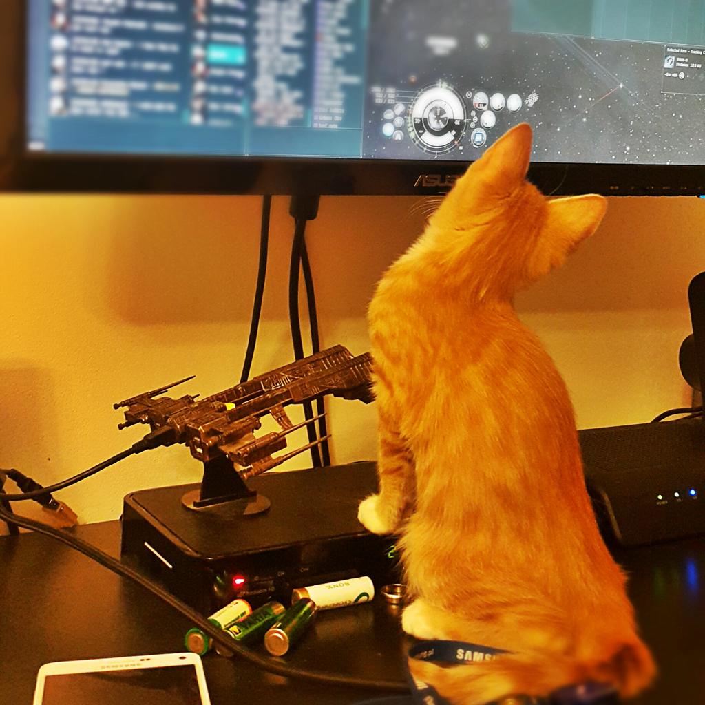 trolldrottning_'s tweet photo. Dude! Wrong ammo! #kittybee fleetin with @karmafleet @petebutchereve #tweetfleet http://t.co/I81mfH19H0