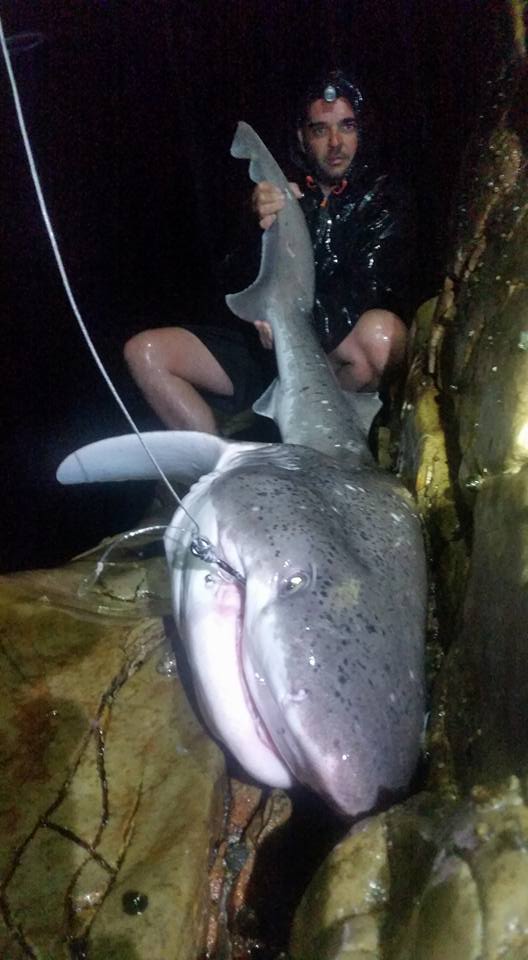FishSession tweet picture