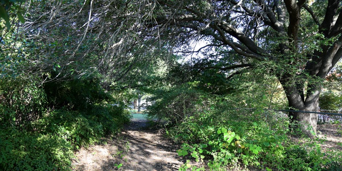 patheos.com/blogs/johnbeck…