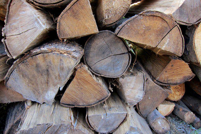 selfsuffguide's tweet image. What Makes the Best Firewood completeguidetoselfsufficiency.com/what-makes-the…