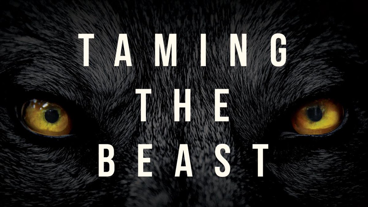 WeRockSolid's tweet photo. CP Youth! Check out our brand new series tonight: TAMING THE BEAST http://t.co/eU81Idgwnj