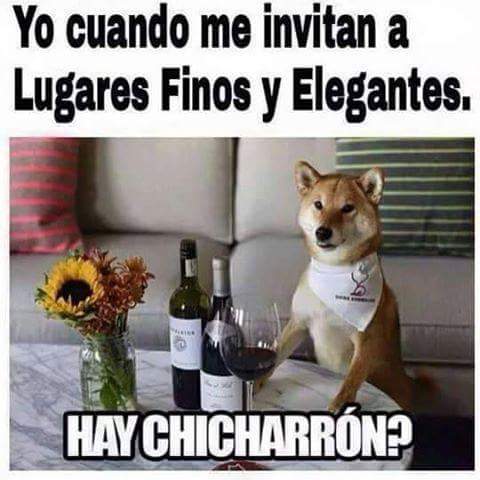 alexvidalGM's tweet photo. @HOLAMANITA @HOLAMANITO yo creo q este me queda vea jajajajajaja http://t.co/LnVCASMTUy