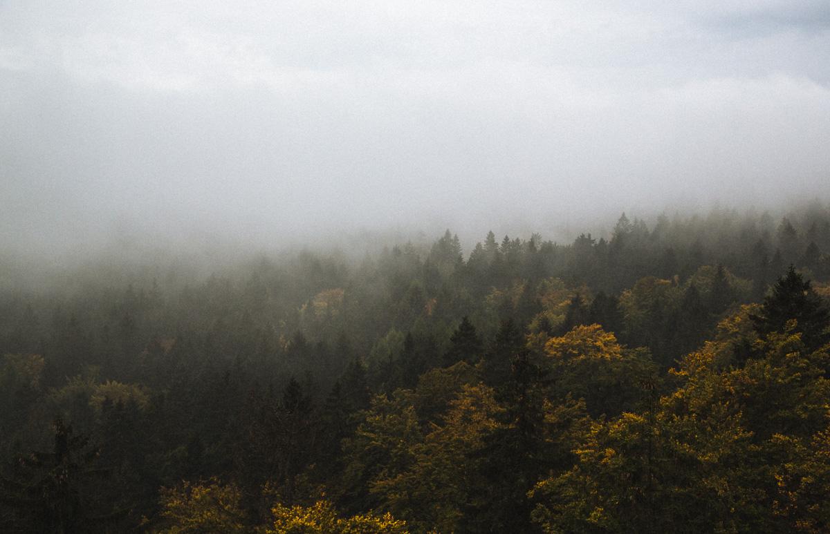 Seit langem mal wieder etwas landschaft fotografiert #fotografie #landscape #bavaria