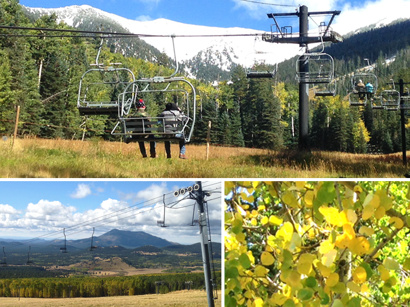 ArizonaSnowbowl's tweet photo. Sunshine and warmer temps are back in the north country for the rest of the week! #leafometer #visitcool http://t.co/xb86ePRCdz
