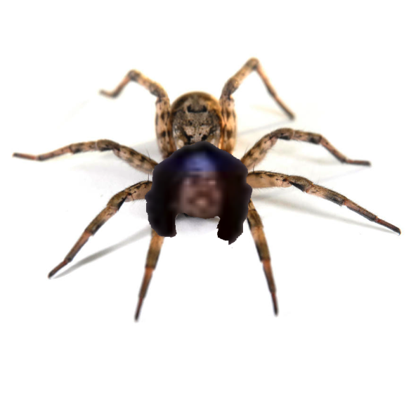 noomattt's tweet photo. #TheNextLevel BEST SPIDER OF ALL @KrisIsrael http://t.co/GXC3wLArlF