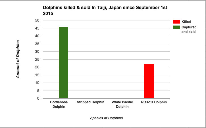 Geckoschool's tweet image. @Geckoschool kids created this graph. #dolphinproject  @RichardOBarry @VickiKielySays #commentsforkids @sherrattsam