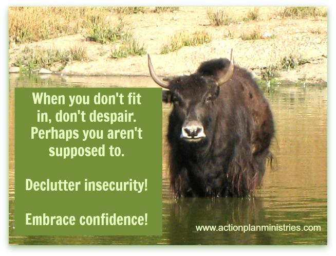 #declutterinsecurity  #embraceconfidence