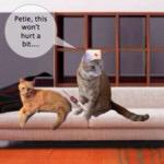 Hahaaaaa!!!!!! Remember this.? Made Mama laugh 😁<a href="/Petiethecat/">Angel Petie</a> #LWP4Louise