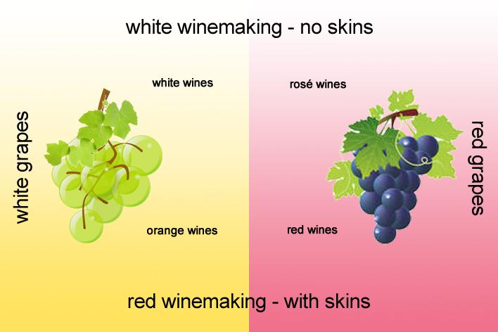 WineClubInsider's tweet photo. What is white and red winemaking? What does "orange wine" mean? http://t.co/dNvr5lXWbl #WineWednesday http://t.co/RcC5KnSZLv