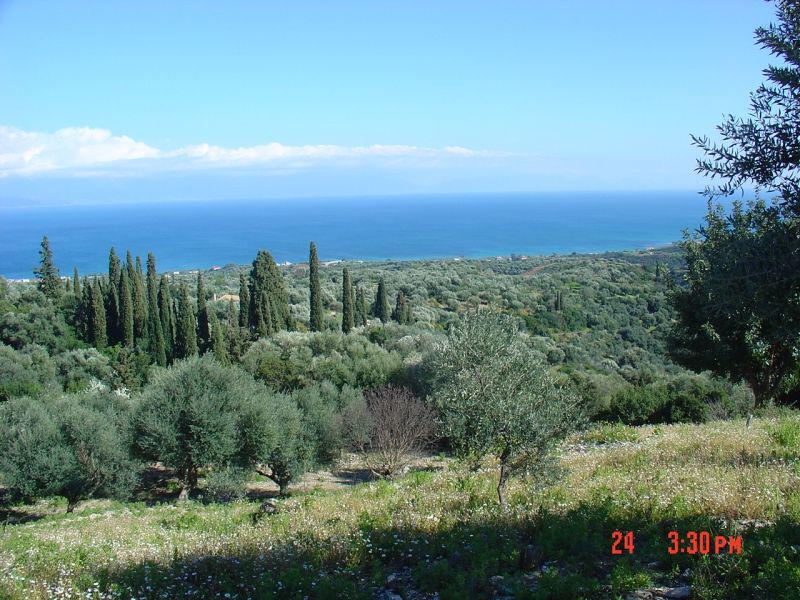 Erica Rooms tweet media