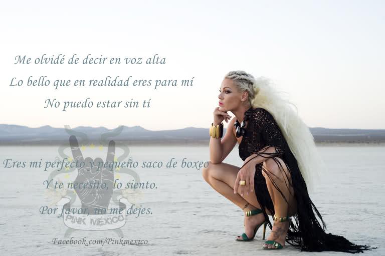 PinkMXFans's tweet image. Please Don't Leave Me - Funhouse 
#Pink #AleciaMoore #PinkFans