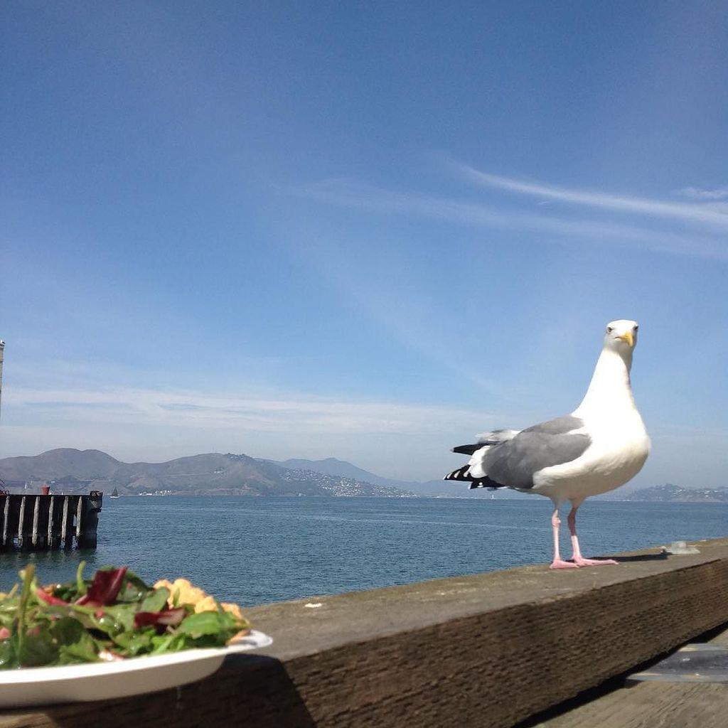 fun_skier's tweet photo. Me: "Are you trying to steel my food?" - Bird: "Me? Noooo" #socap2015 #socap15 #ubi #ubigl… http://t.co/U7UN3qEEcP http://t.co/IWWYuYXHNd